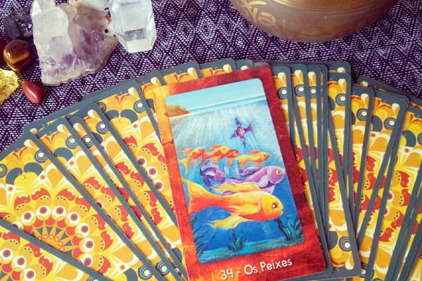 Leitura de Tarot Cigano em Santos